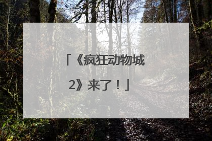 《疯狂动物城2》来了！