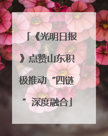 《光明日报》点赞山东积极推动“四链”深度融合