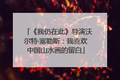 《我仍在此》导演沃尔特·塞勒斯：我喜欢中国山水画的留白
