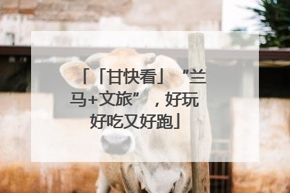 「甘快看」“兰马+文旅”，好玩好吃又好跑