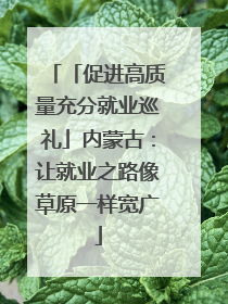 「促进高质量充分就业巡礼」内蒙古：让就业之路像草原一样宽广