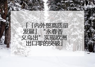 「内外贸高质量发展」“永春香 义乌出”实现欧洲出口零的突破
