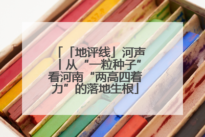 「地评线」河声丨从“一粒种子”看河南“两高四着力”的落地生根