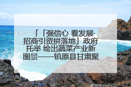 「强信心 看发展·招商引资拼落地」政府托举 绘出蔬菜产业新图景——镇原县甘肃聚广利现代设施蔬菜种植基地见闻