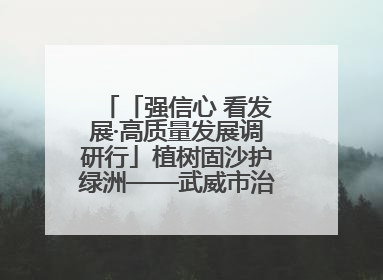 「强信心 看发展·高质量发展调研行」植树固沙护绿洲——武威市治沙造林筑牢生态安全屏障见闻