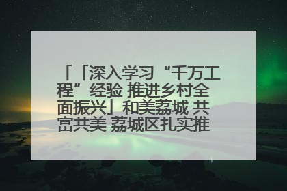 「深入学习“千万工程”经验 推进乡村全面振兴」和美荔城 共富共美 荔城区扎实推进乡村振兴工作