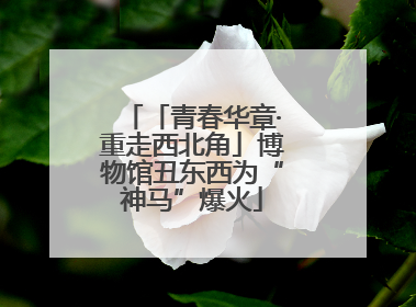「青春华章·重走西北角」博物馆丑东西为“神马”爆火