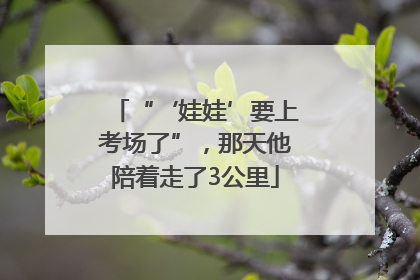 “‘娃娃’要上考场了”，那天他陪着走了3公里