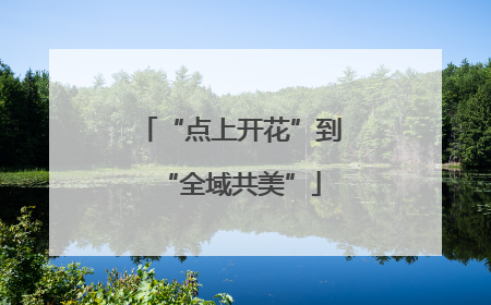 “点上开花”到“全域共美”
