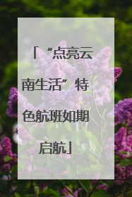 “点亮云南生活”特色航班如期启航