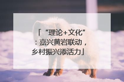 “理论+文化”：嘉兴黄岩联动，乡村振兴添活力
