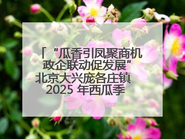 “瓜香引凤聚商机 政企联动促发展”北京大兴庞各庄镇 2025 年西瓜季政企联动产业推介活动圆满举行
