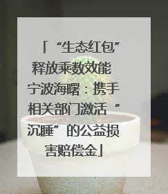 “生态红包”释放乘数效能 宁波海曙：携手相关部门激活“沉睡”的公益损害赔偿金