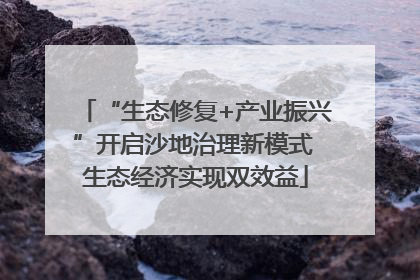 “生态修复+产业振兴”开启沙地治理新模式 生态经济实现双效益