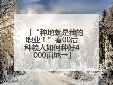“种地就是我的职业！”看00后种粮人如何种好4000亩地→