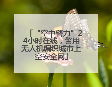 “空中警力”24小时在线，警用无人机编织城市上空安全网