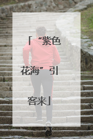 “紫色花海”引客来