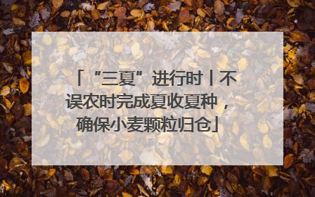 “三夏”进行时丨不误农时完成夏收夏种，确保小麦颗粒归仓
