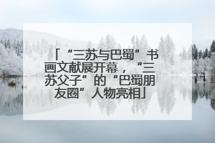 “三苏与巴蜀”书画文献展开幕,“三苏父子”的“巴蜀朋友圈”人物亮相