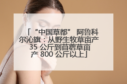 “中国草都” 阿鲁科尔沁旗：从野生牧草亩产 35 公斤到苜蓿草亩产 800 公斤以上