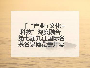 “产业+文化+科技”深度融合 第七届九江国际名茶名泉博览会开幕（组图）