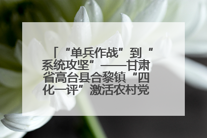 “单兵作战”到“系统攻坚”——甘肃省高台县合黎镇“四化一评”激活农村党员管理新引擎
