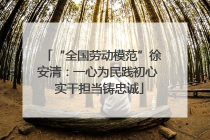 “全国劳动模范”徐安清：一心为民践初心 实干担当铸忠诚