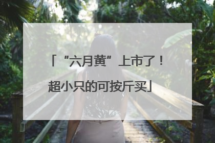 “六月黄”上市了！超小只的可按斤买