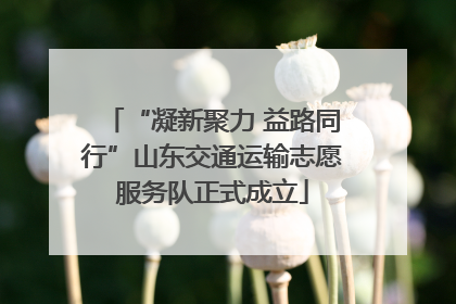 “凝新聚力 益路同行”山东交通运输志愿服务队正式成立