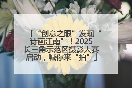 “创意之眼”发现“诗画江南”！2025长三角示范区摄影大赛启动，喊你来“拍”