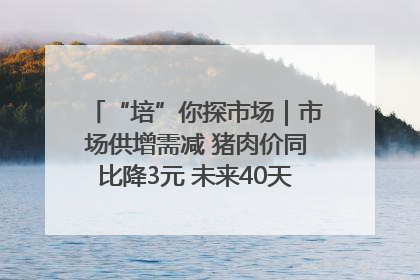 “培”你探市场｜市场供增需减 猪肉价同比降3元 未来40天便宜猪肉敞开吃