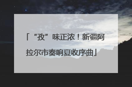 “孜”味正浓！新疆阿拉尔市奏响夏收序曲