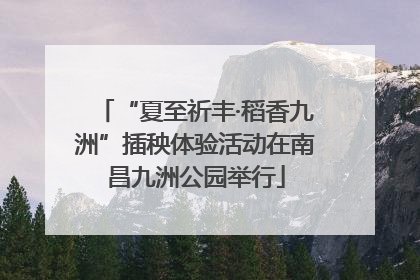 “夏至祈丰·稻香九洲”插秧体验活动在南昌九洲公园举行