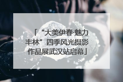 “大美伊春·魅力丰林”四季风光摄影作品展武汉站启幕