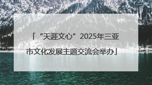 “天涯文心”2025年三亚市文化发展主题交流会举办