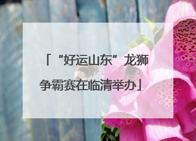“好运山东”龙狮争霸赛在临清举办