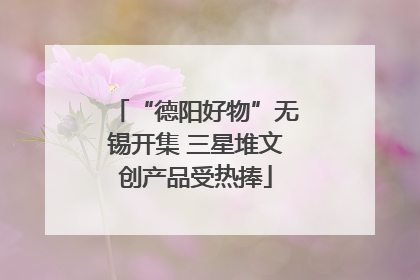 “德阳好物”无锡开集 三星堆文创产品受热捧