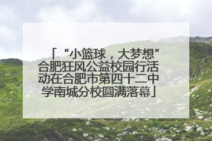 “小篮球，大梦想”合肥狂风公益校园行活动在合肥市第四十二中学南城分校圆满落幕