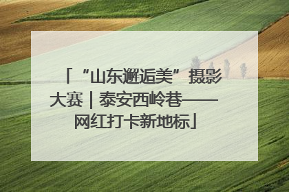 “山东邂逅美”摄影大赛｜泰安西岭巷——网红打卡新地标