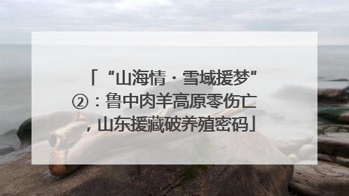 “山海情・雪域援梦”②：鲁中肉羊高原零伤亡，山东援藏破养殖密码
