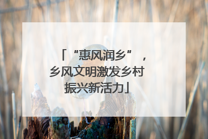 “惠风润乡”，乡风文明激发乡村振兴新活力