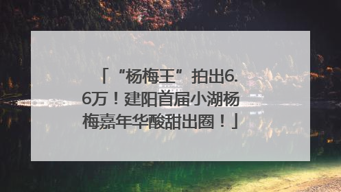 “杨梅王”拍出6.6万！建阳首届小湖杨梅嘉年华酸甜出圈！