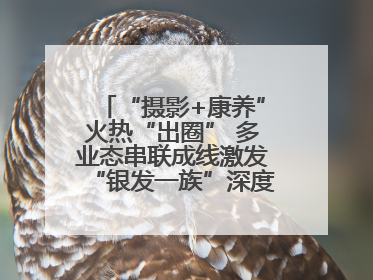 “摄影+康养”火热“出圈” 多业态串联成线激发“银发一族”深度游潜力