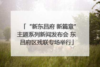 “新东昌府 新篇章”主题系列新闻发布会 东昌府区残联专场举行