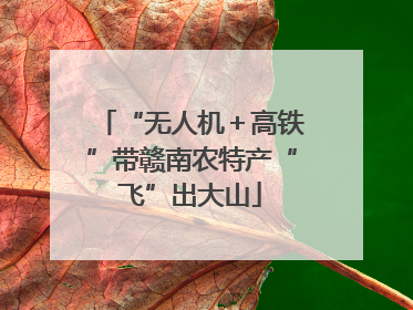 “无人机＋高铁”带赣南农特产“飞”出大山