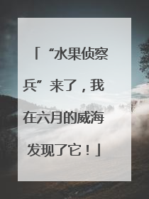 “水果侦察兵”来了，我在六月的威海发现了它！