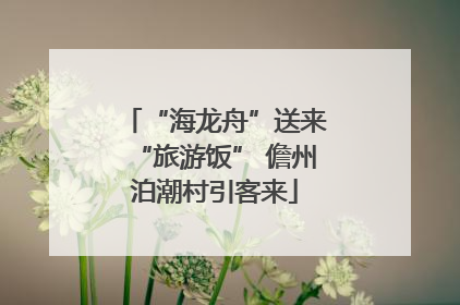 “海龙舟”送来“旅游饭” 儋州泊潮村引客来