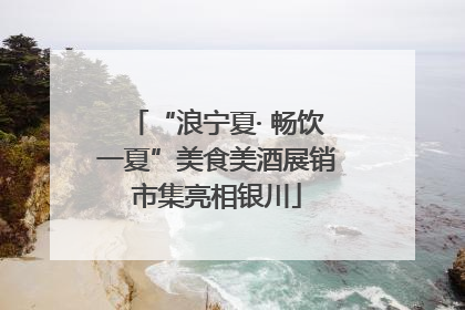 “浪宁夏· 畅饮一夏”美食美酒展销市集亮相银川