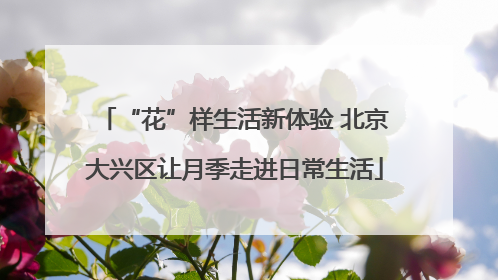 “花”样生活新体验 北京大兴区让月季走进日常生活