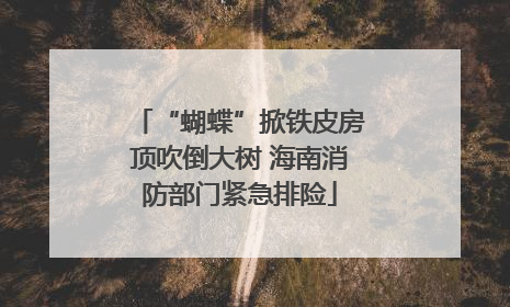“蝴蝶”掀铁皮房顶吹倒大树 海南消防部门紧急排险